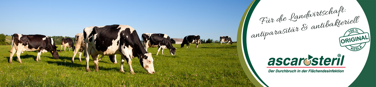 Landwirtschaft und Tierhaltung