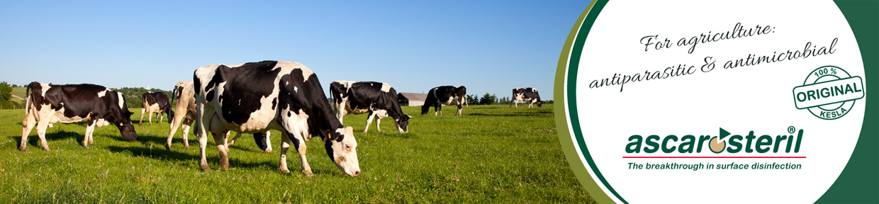 Agriculture and animal husbandry